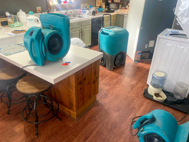 Best Professional water damage repair  in Ttapoisett Center, MA
