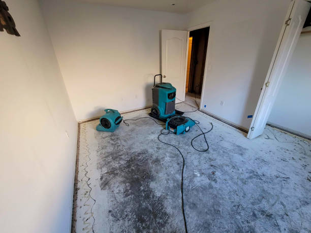 Best Flood damage cleanup  in Ttapoisett Center, MA