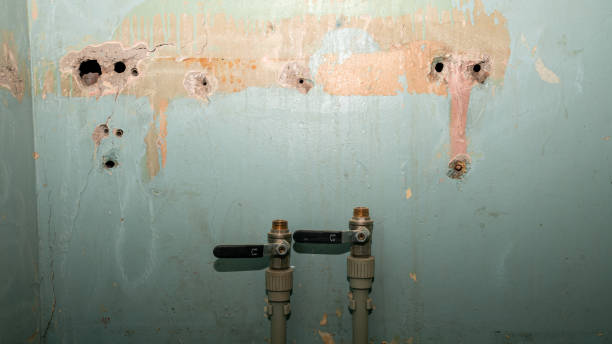 Best Flooded house restoration  in Ttapoisett Center, MA